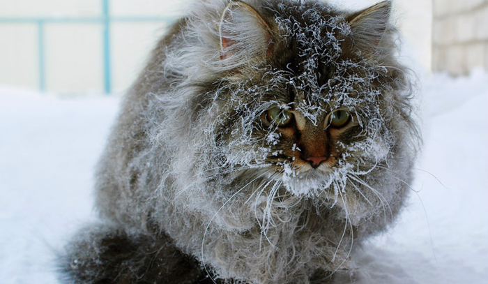 How the kids almost froze me. - Winter, Balcony, Children, My