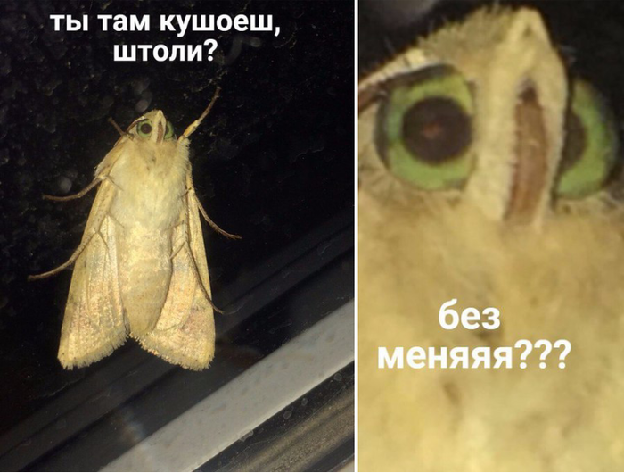 Как ты мог?!