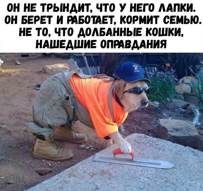 1504817001268832531.jpg