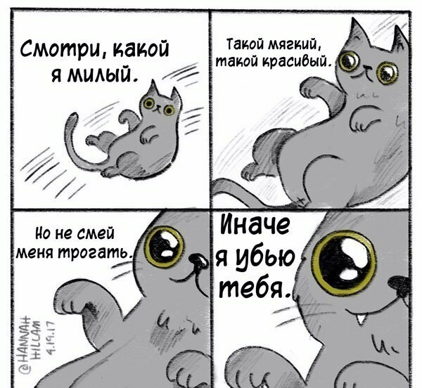 The whole essence of cats) - cat, Fluffy, Comics