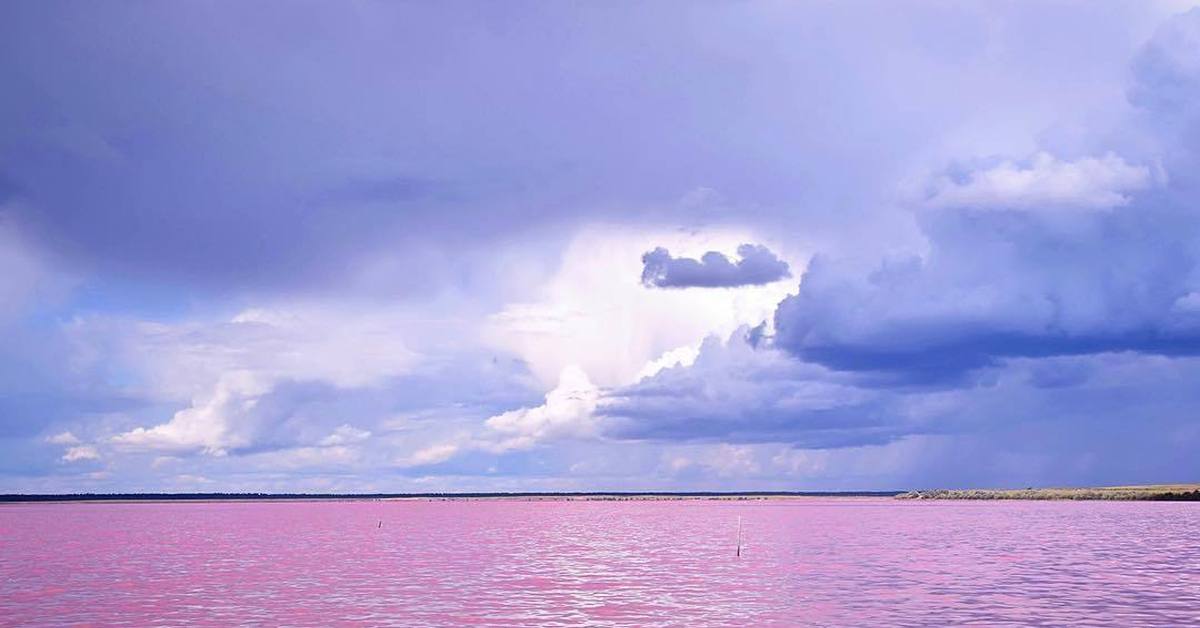 Малиновое озеро алтайский