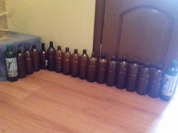 Домашнее пиво