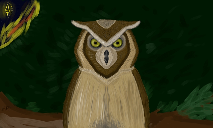 Owl. - My, Beginner artist, Owl, Digital drawing