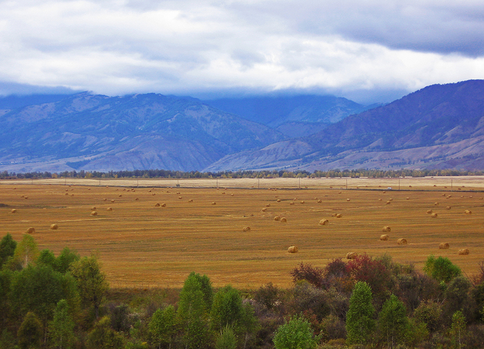 Ust-Koksa. - My, Mountain Altai, Uimon valley, Katun River, Nature, Longpost, Altai Republic, Katun