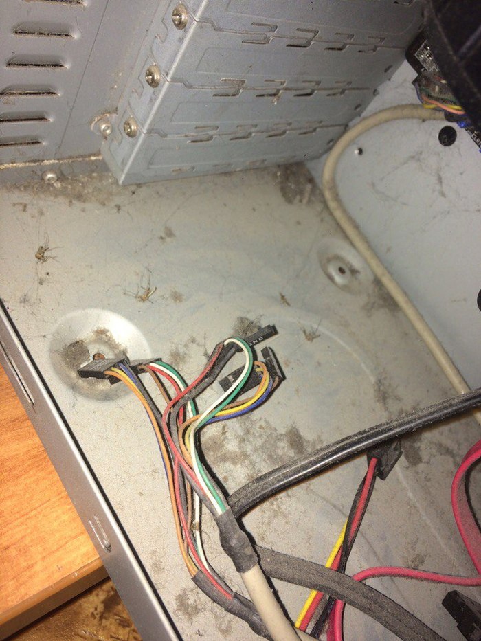 They brought a computer, they said 'works slowly' - Web, System unit, Mosquitoes, Dust, My, Repair, Computer