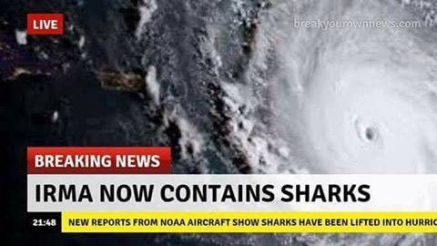 And you thought it was just a stupid movie?! - Shark tornado, , Irma, Hurricane, news, Fake, Translation, 9GAG, Hurricane Irma