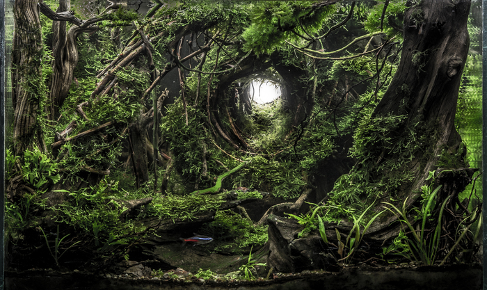 Четвертое место на EAPLC 2016 в категории Nano