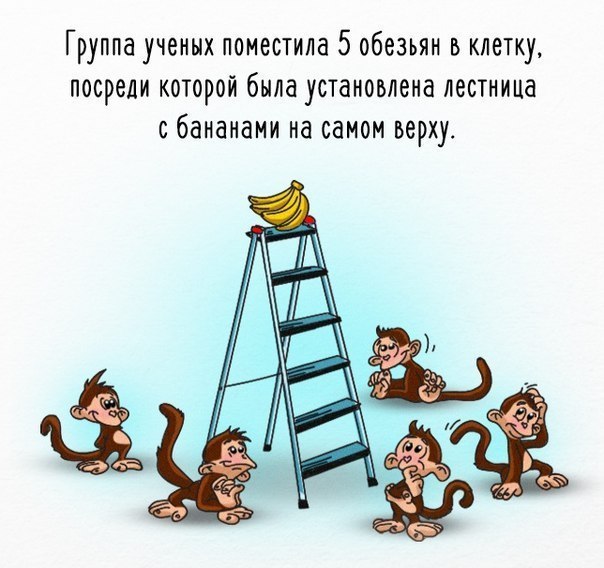 Про традиции. - Обезьянник, Картинки, Жизньболь, Тут так принято, Длиннопост