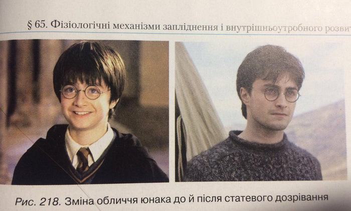 Украинский учебник по биологии, иллюстрация полового созревания