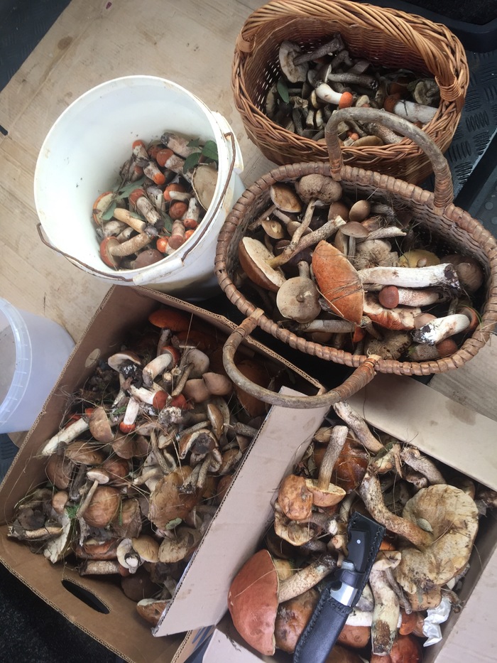 ������� ����� ������:)