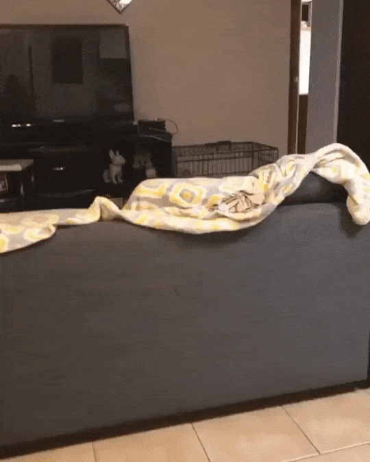 !