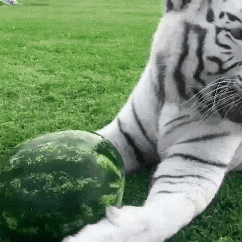 Игрушка