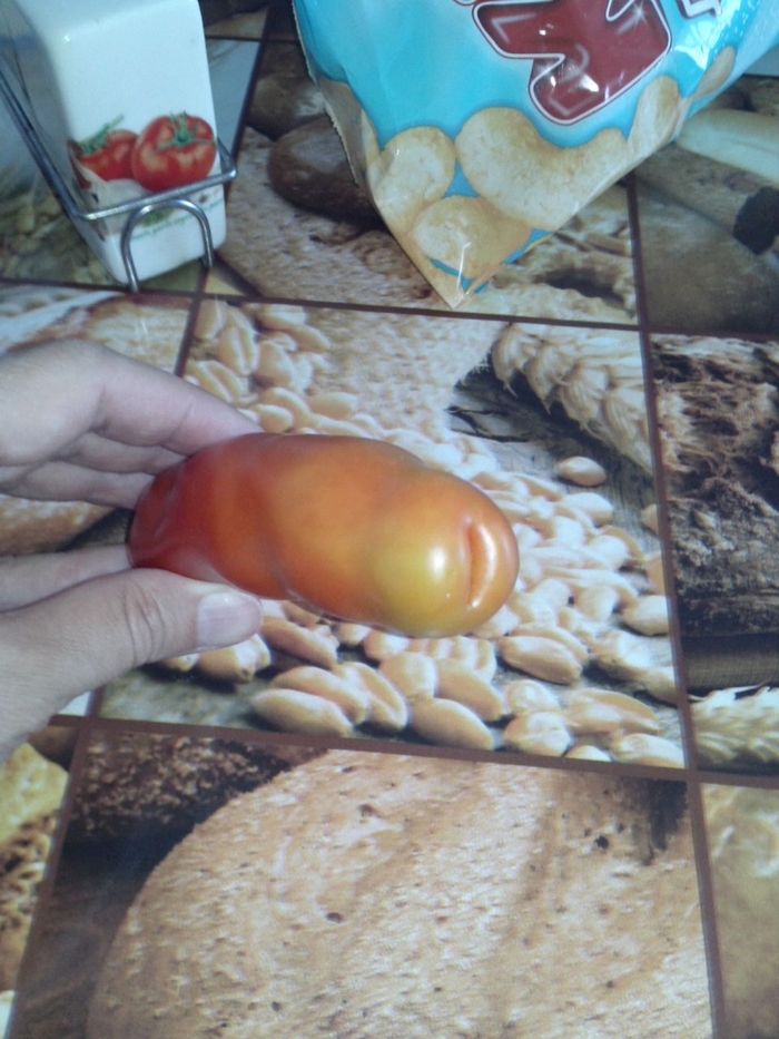 Tomato from the garden - My, Tomatoes, Strawberry, Garden, , Longpost, Strawberry (plant)