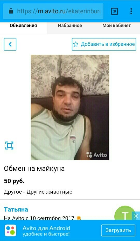 Обьявление на авито | Пикабу