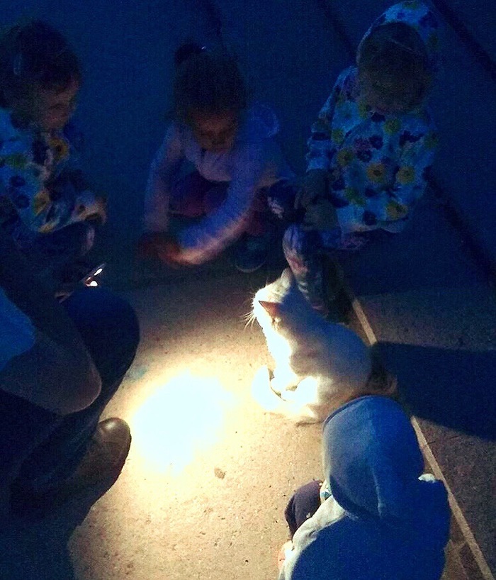    )...   , ,   , 