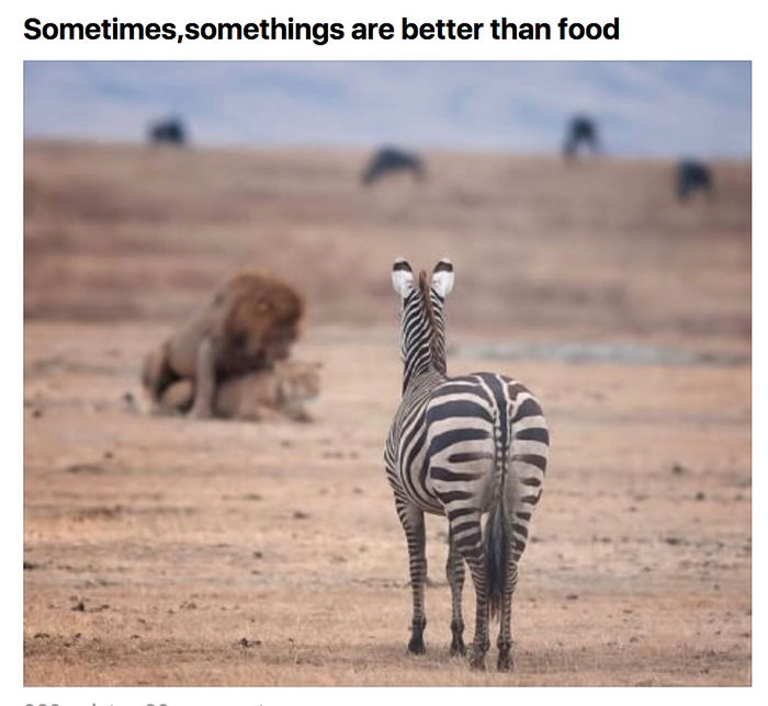 ������ ��������� ���� �����, ��� ���