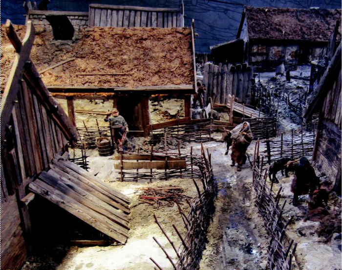 Среди военачальников викингов были женщины Лига историков, Эпоха викингов, Археология, Днк-Тест, Швеция X век, Длиннопост