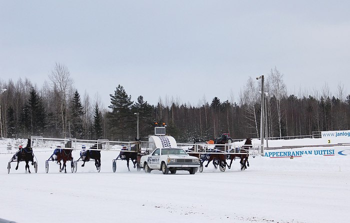 About the hippodrome in Finland - My, Horses, Finland, Lappeenranta, Horse-race, Tote, Longpost