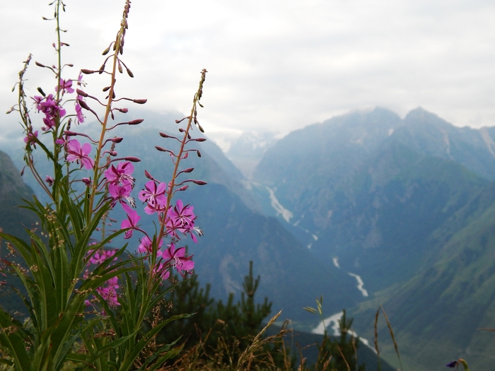 North Ossetia and some Kabardino-Balkaria - My, The mountains, Hike, Mountain tourism, Caucasus, Nature, Longpost