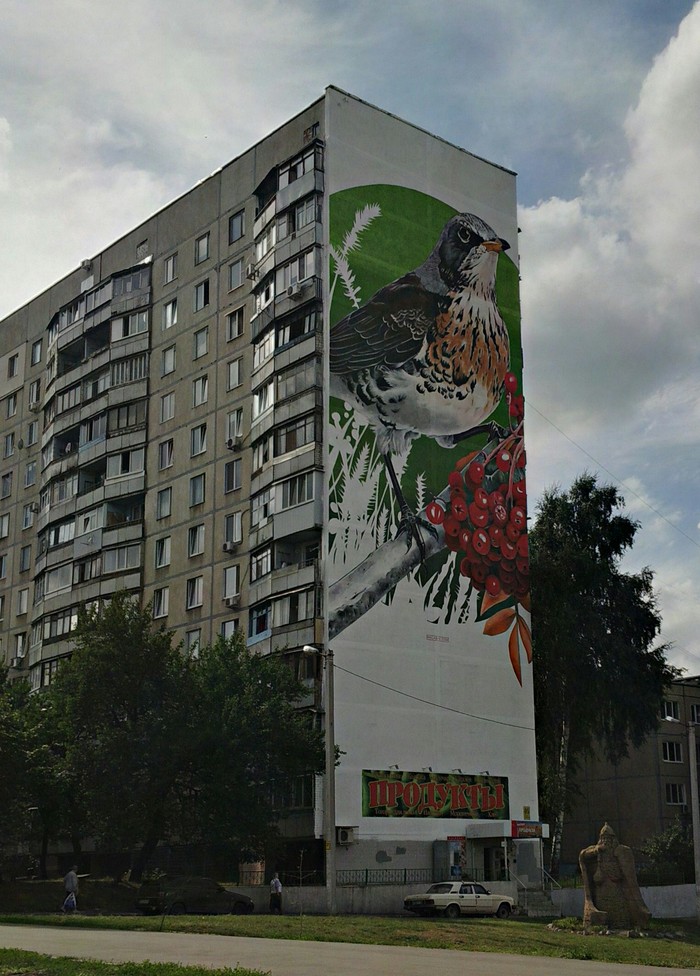 Mural in an ordinary residential area - Mural, Birds, Saltovka