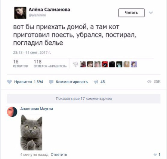 They are cats. Comment on the topic. - My, Contacts, In contact with, Comments, cat, , To this topic, 