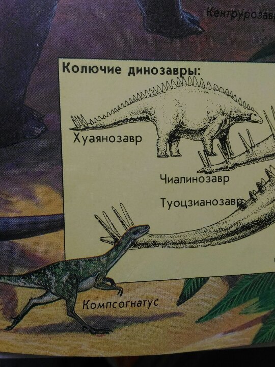 You read it wrong! - Dinosaurs, My, Barbed