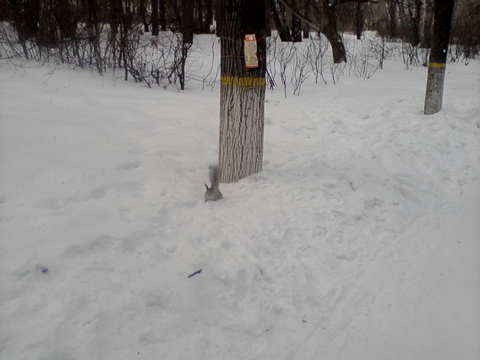 Stop. - Around, Around us, The photo, Observation, Longpost, My