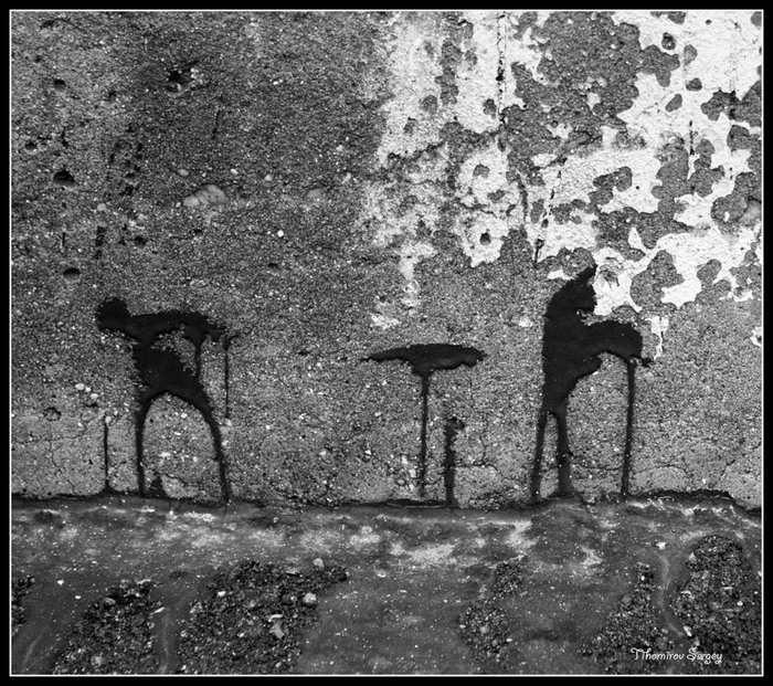 ���� �������.