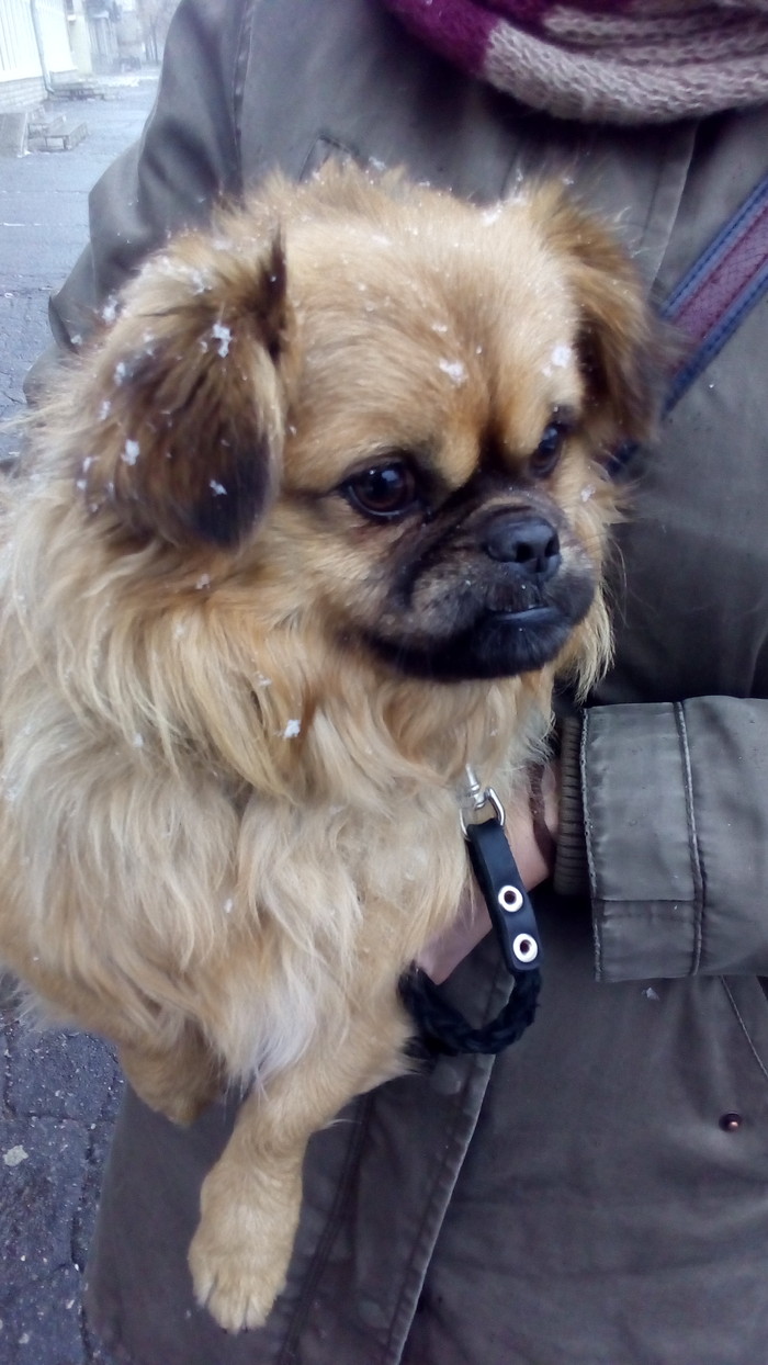 ���������� �������