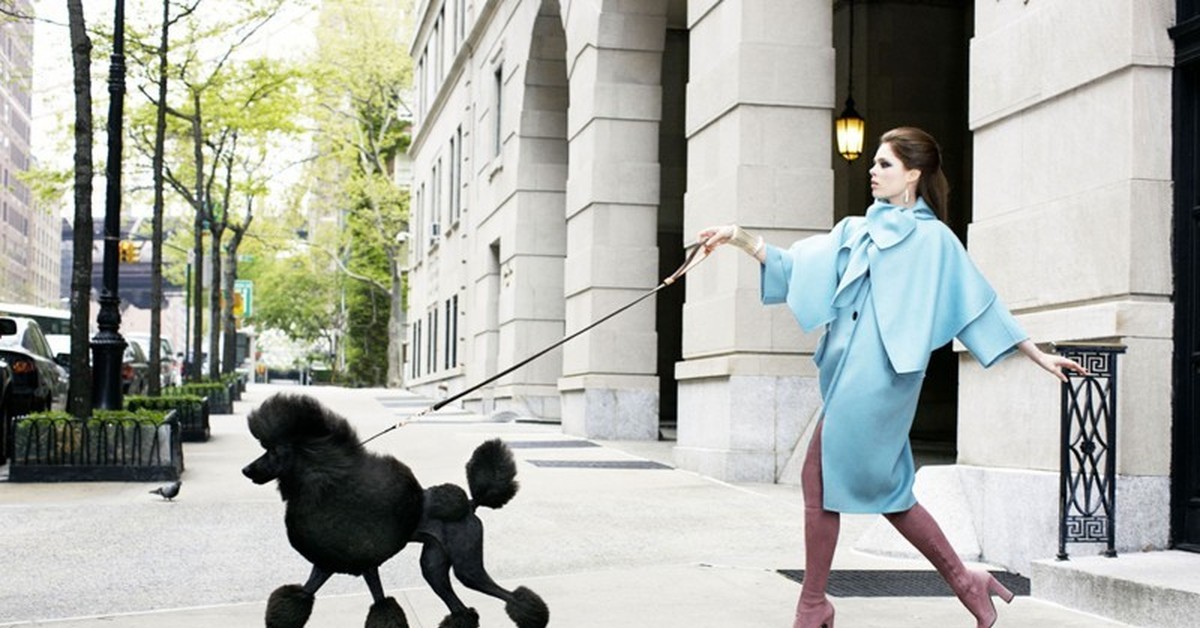 Погулять женщину. Девушка с собачкой. Девушка с пуделем. Дама гуляет с собачкой. Дама с собачкой на прогулке.