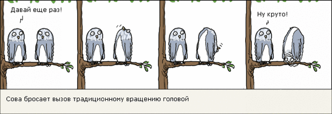 See how I can! - Comics, Wulffmorgenthaler, Birds, Owl, Traditions, Trick, Head, Branch