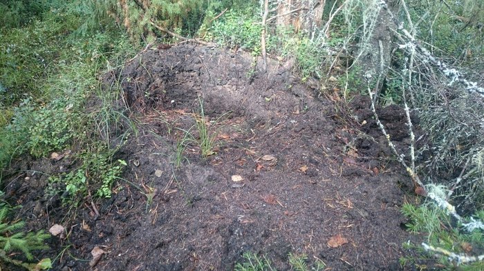 ������� ���������� ����������