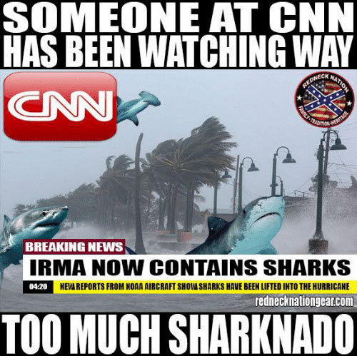 Fake sharks of Hurricane Irma swimming through the streets caused panic in flooded Florida - Hurricane Irma, Florida, Miami, , Fake, , Shark, Longpost, Shark tornado
