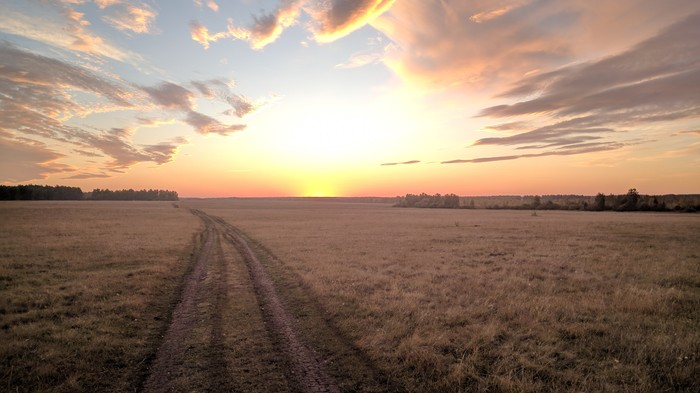 An evening walk. - My, Evening, Autumn