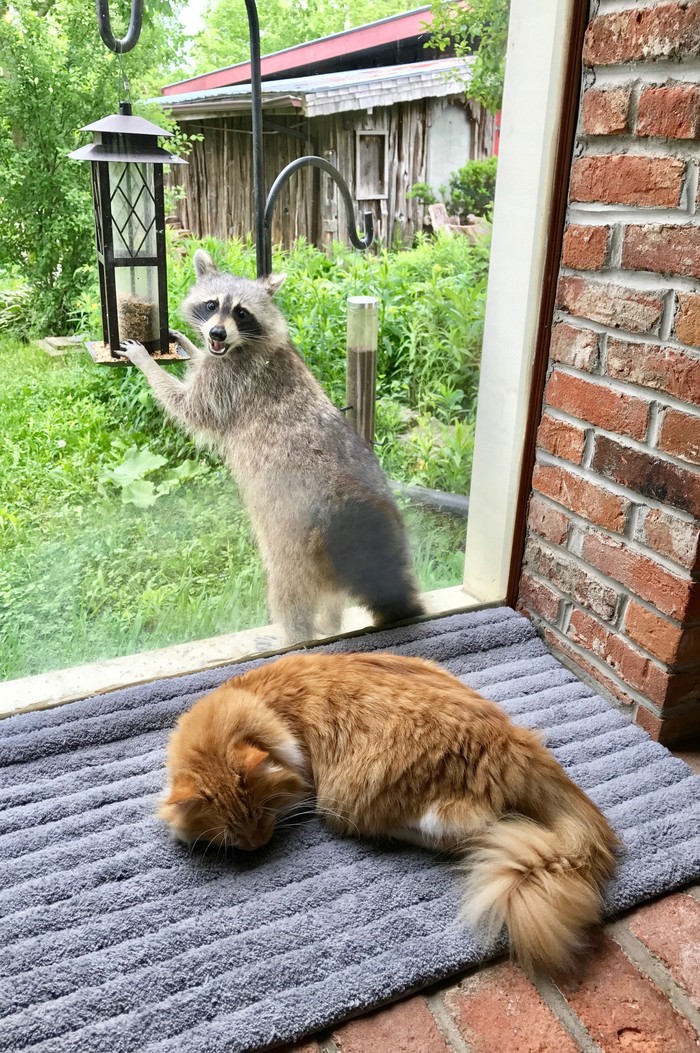 Когда охранник засыпает на работе