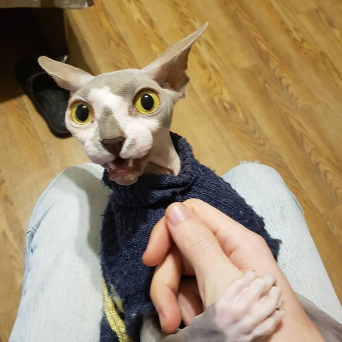         =) , , ,  