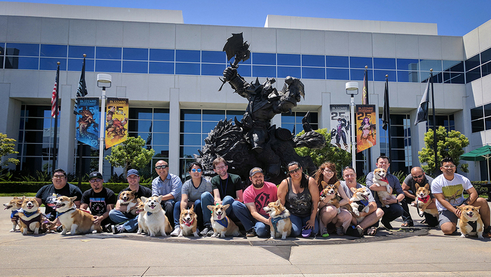 We can't imagine Blizzard without pets. Who lives in the company's offices - Dog, cat, Longpost, Pets, Animals, Pet, Blizzard, My