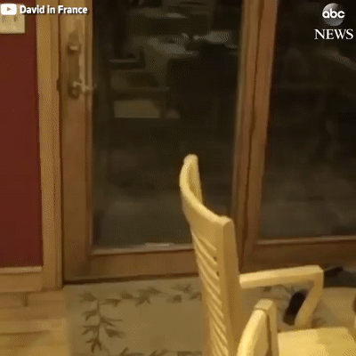 1505536371114479347.gif