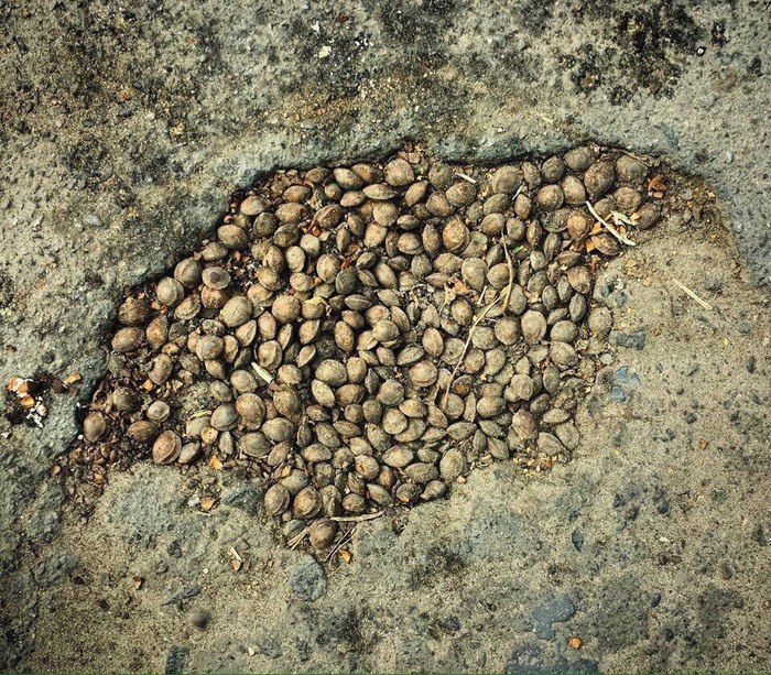 �������� � ������� "�������". �������.