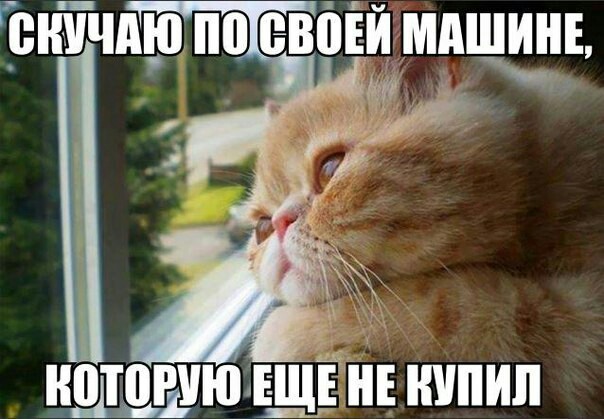 2 ���� ���