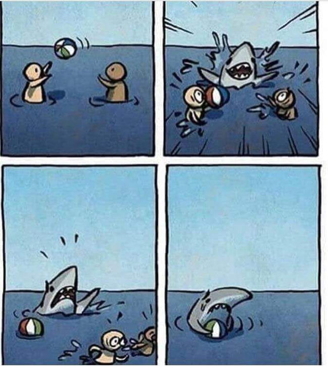 Poor shark - Comics, Shark