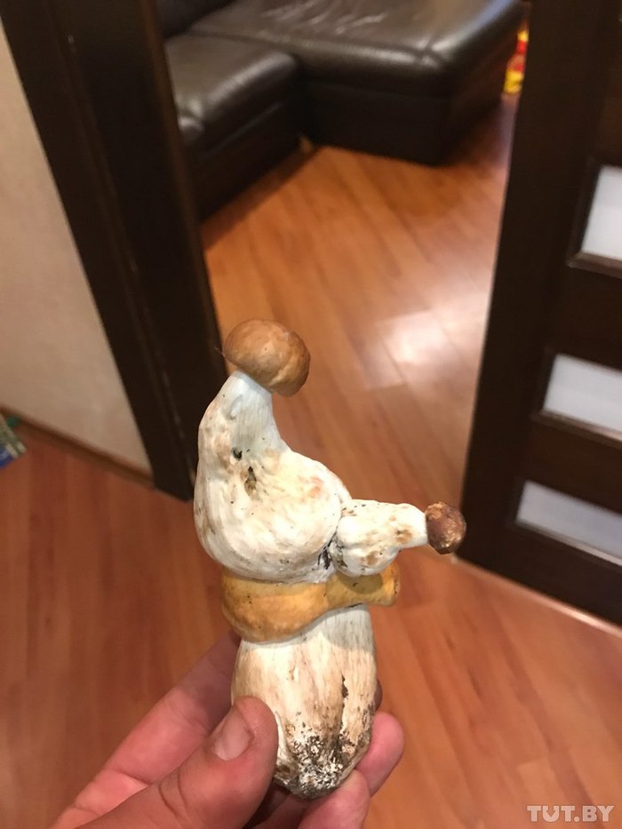 1505644419139351231 iccug что это значит