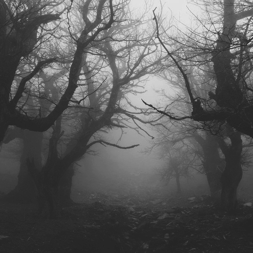 �� ���������, � ������� ������� ����, ������ ������� ��� ������ ������.