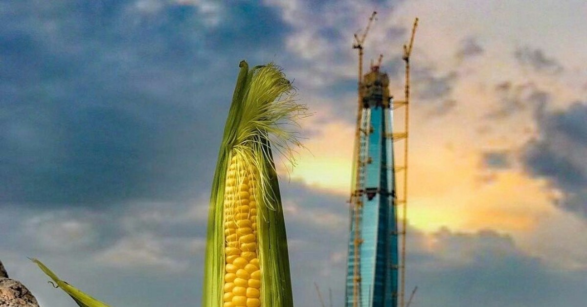 Санкт петербург кукуруза здание фото