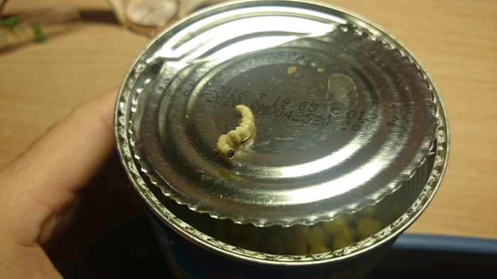 Отписка за брак в производстве кукурузы Кукуруза, Брак (супружество), Производство, Бонюэль, Бондюэль, Гусеница, Насекомые, Длиннопост