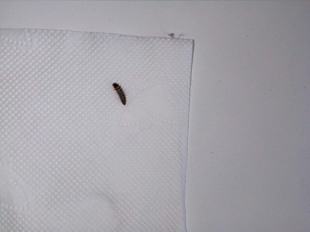 ��� ��� ����� � ���� ����?