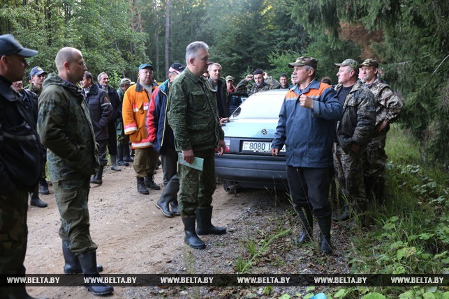 In Belovezhskaya Pushcha (Belarus), hundreds of volunteers are looking for a boy. It's been 4 days - Search, People search, Ministry of Emergency Situations, State of emergency, Catastrophe, Forest, Got lost, Longpost