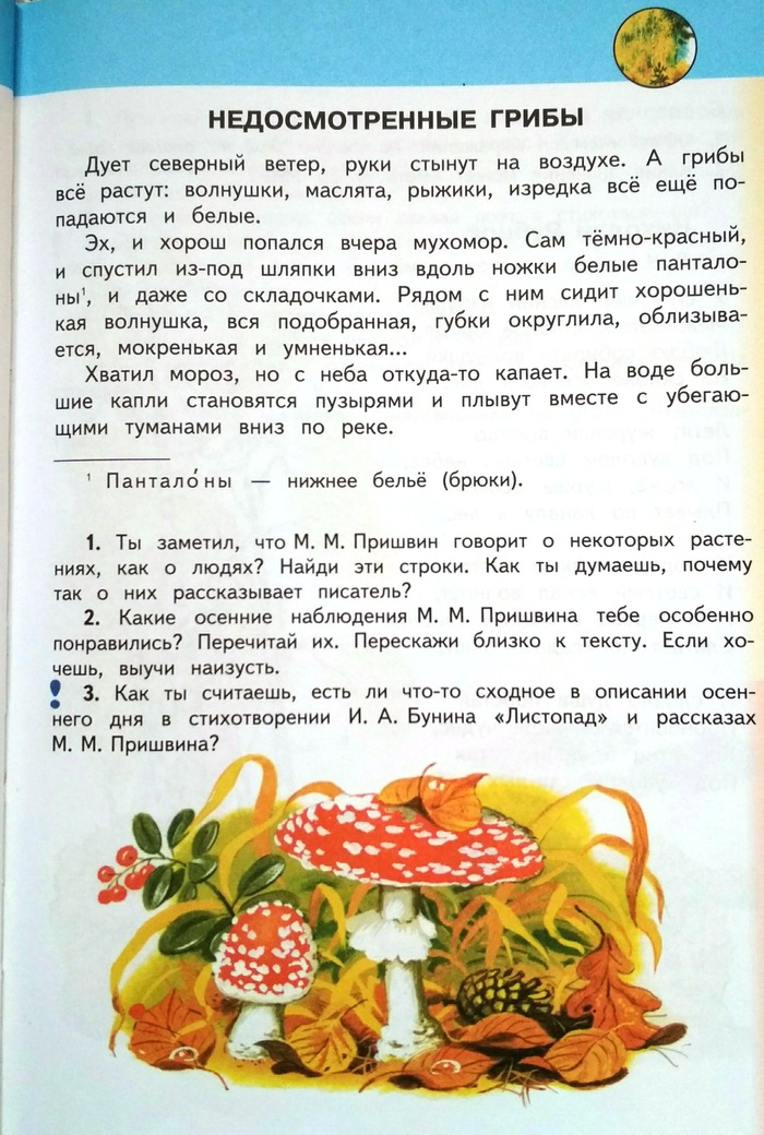 Mushrooms..... - My, School, Textbook, Marasmus, Longpost