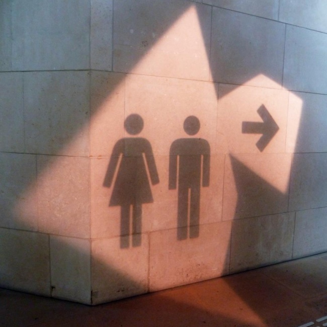 A vital direction, or how not to make a mistake in choosing toilet signs. - Images, Door, Longpost