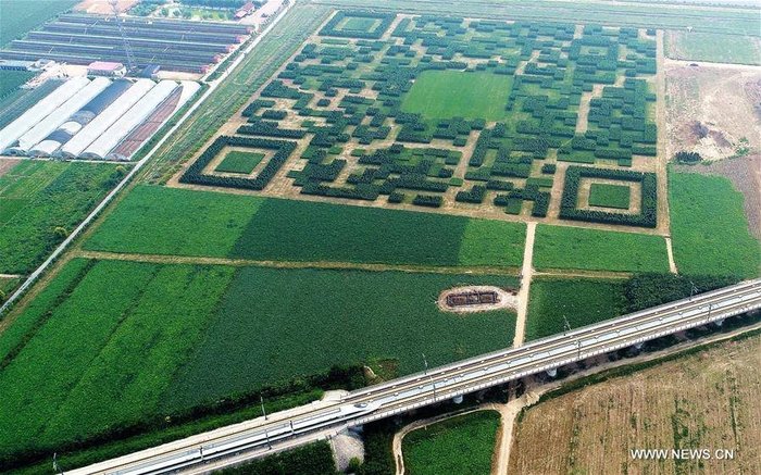 A QR code of 130,000 carefully trimmed shrubs and trees that can be scanned from the air. - QR Code, China, Beijing, Bush, Plants, Longpost